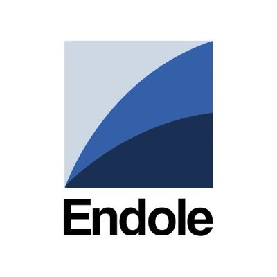 Endole Logo